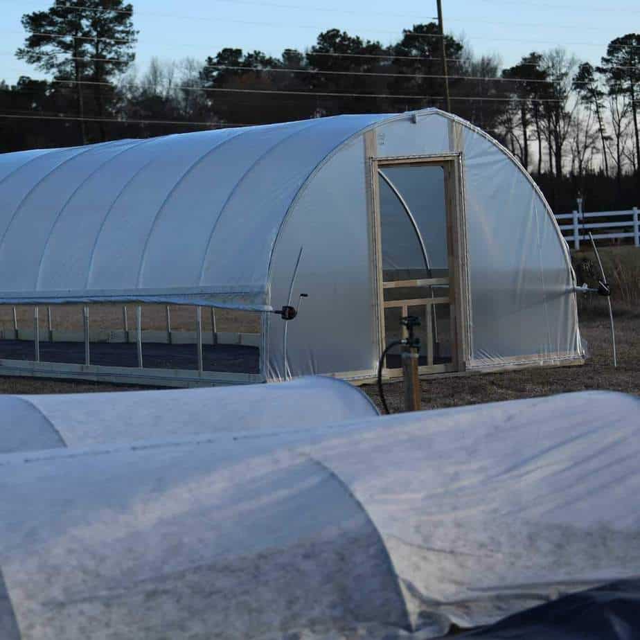 Pros and Cons of Polyethylene Plastic for Greenhouses Greenhouse Info