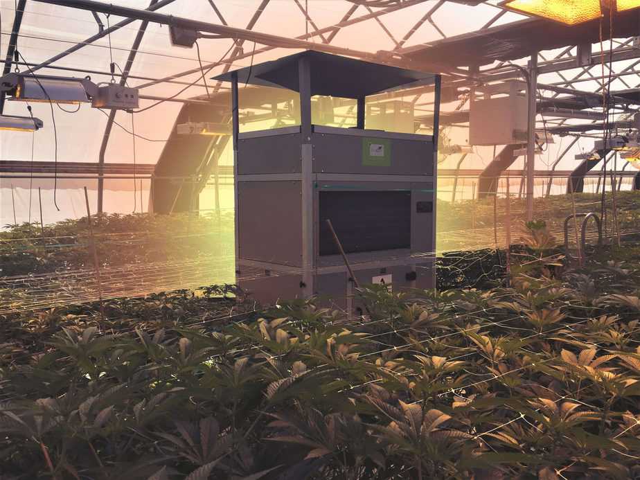 You are currently viewing The 3 Best Dehumidifiers for Greenhouses