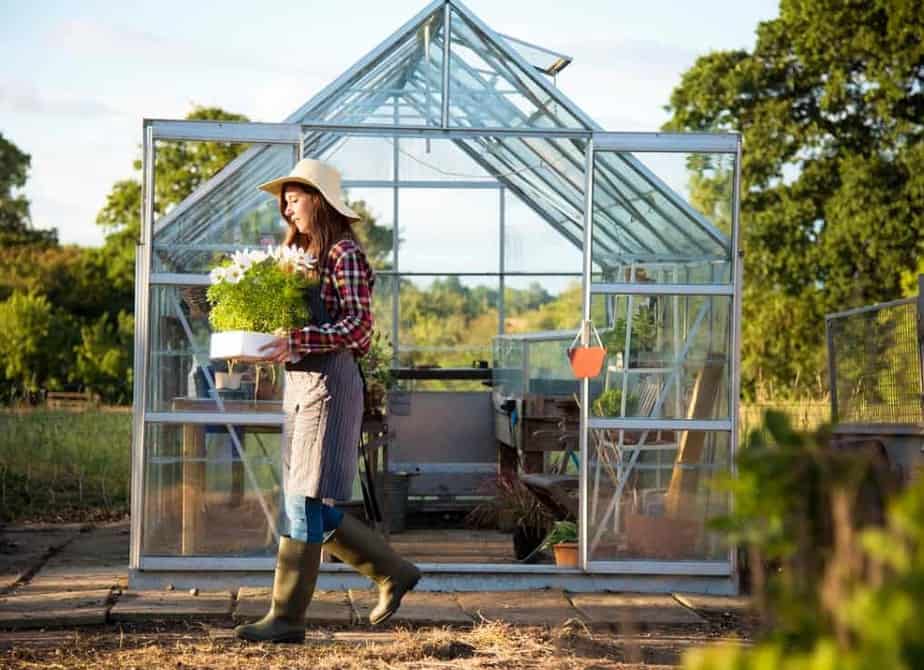 You are currently viewing What are the Best Greenhouses for Renters?