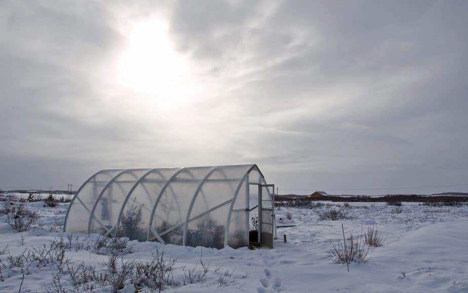 The 3 Best Humidifiers For Greenhouses Greenhouse Info