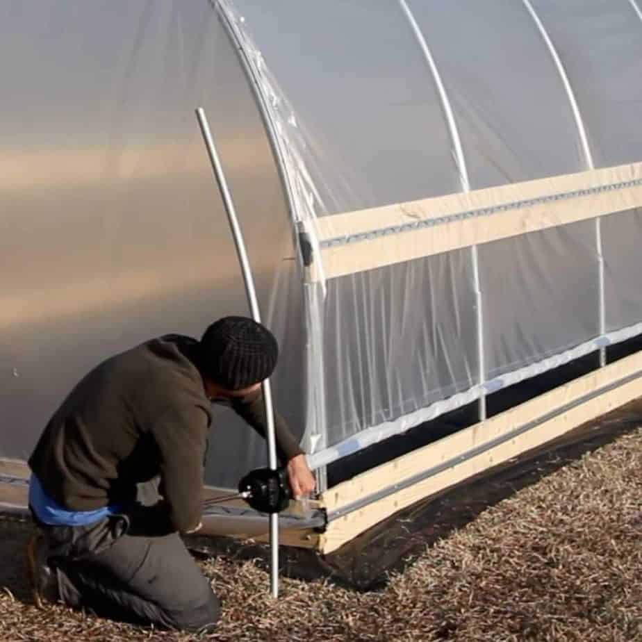 Greenhouse Plastic  Buy Clear UV Resistant 6 Mil Greenhouse Film -  Bootstrap Farmer - Bootstrap Farmer