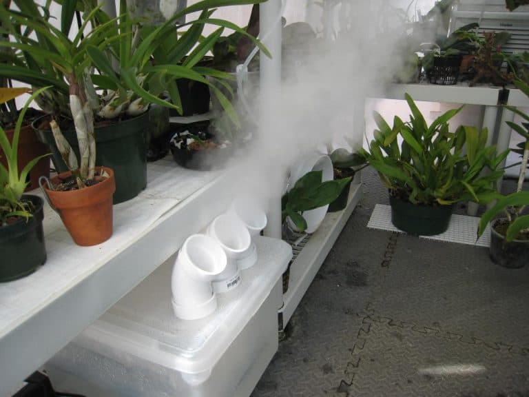 The 3 Best Humidifiers for Greenhouses Greenhouse Info