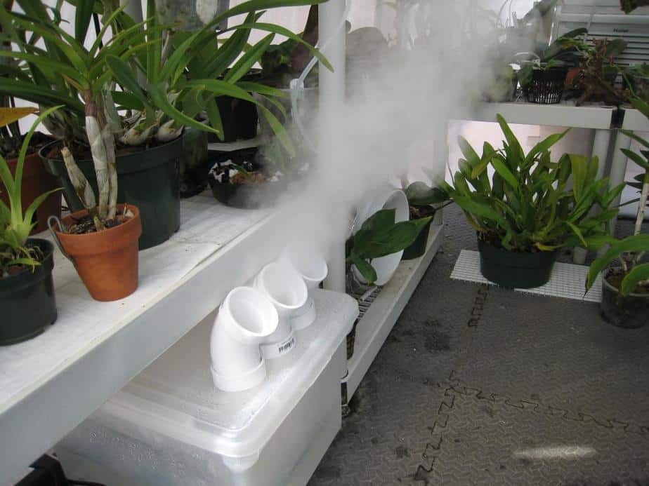 How to Choose the Best Greenhouse Humidifier