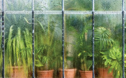 greenhouse too humid best dehumidifiers for greenhouses