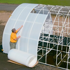 Best Clear Plastic Sheets for Greenhouses - Greenhouse Info