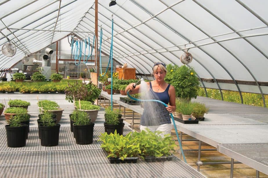 The Best Hoses for Greenhouses