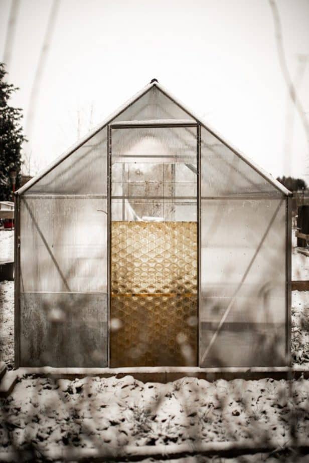 Where to Build Your Greenhouse