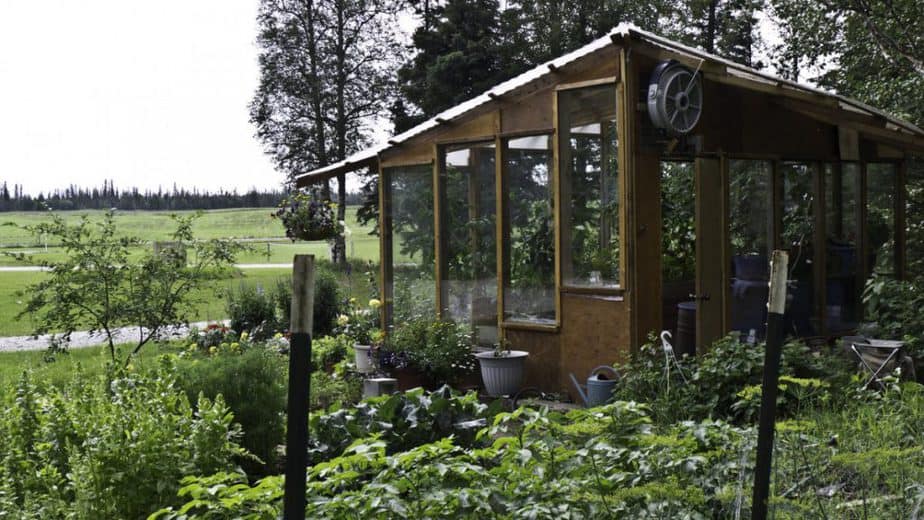 Tips for Buying a Greenhouse