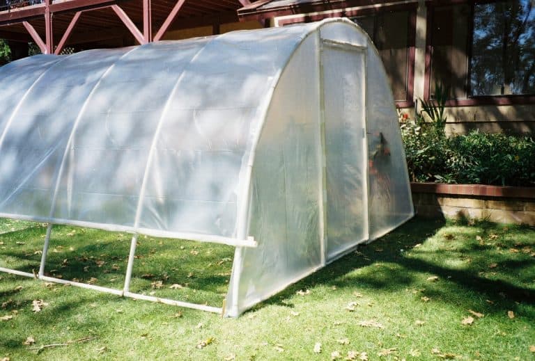 The 3 Best PVC Greenhouse Kits - Greenhouse Info