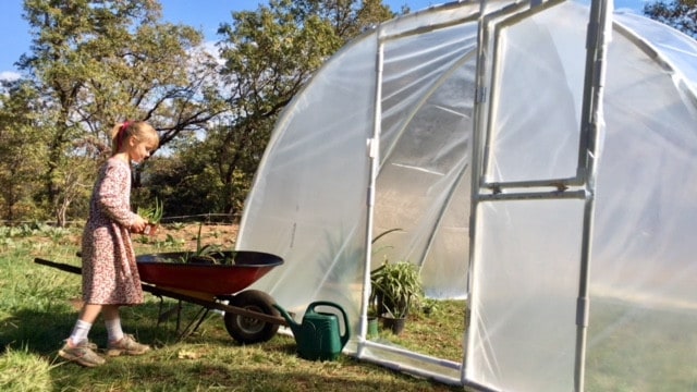 buying pvc greenhouse kit tips