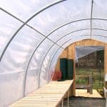 Should You Choose A Glass or Plastic Greenhouse?