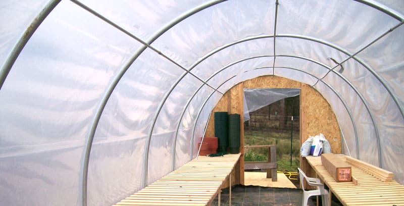 You are currently viewing Should You Choose A Glass or Plastic Greenhouse?