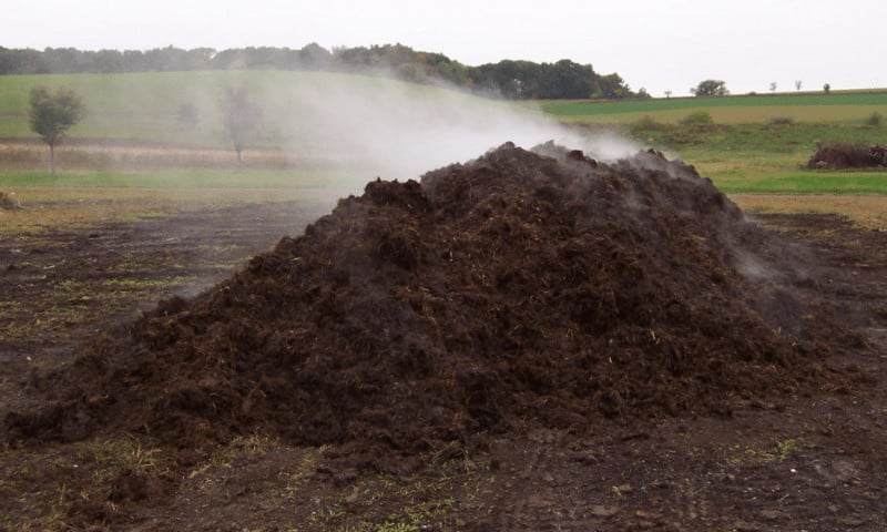 greenhouse heating with compost