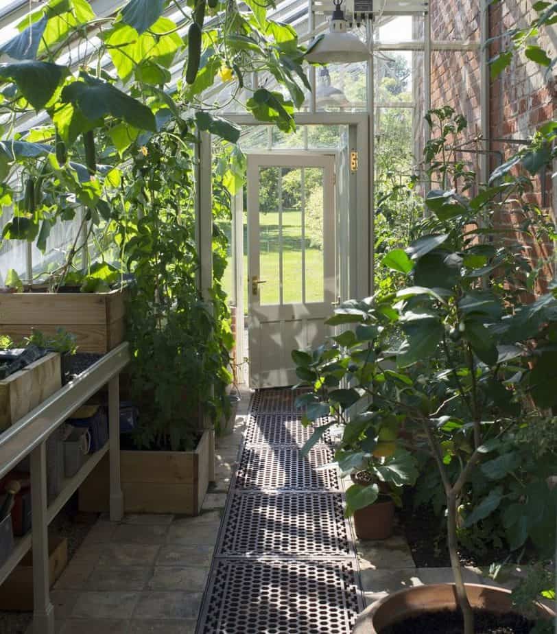 Types of Greenhouse Flooring - Greenhouse Info