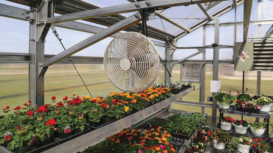 greenhouse Ventilation tips