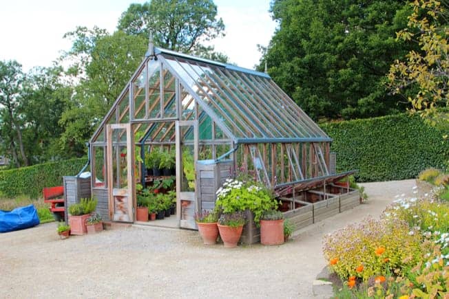 Best Greenhouses for Renters