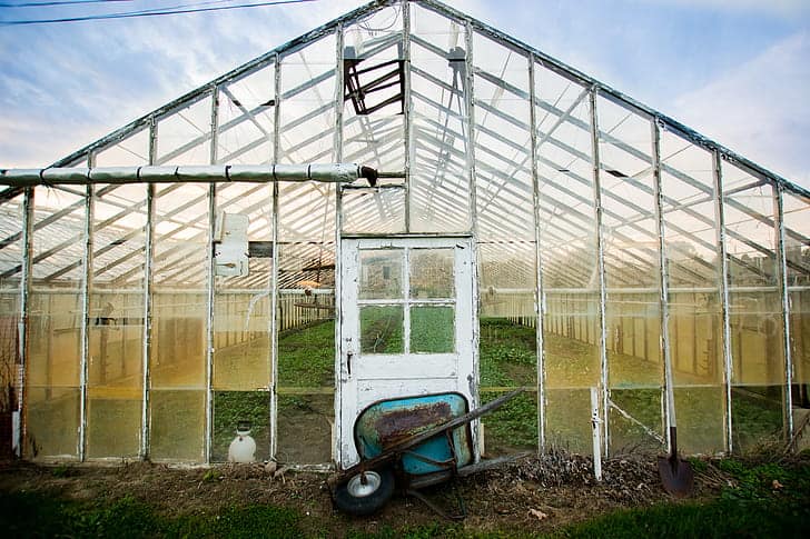 Greenhouse Upkeep