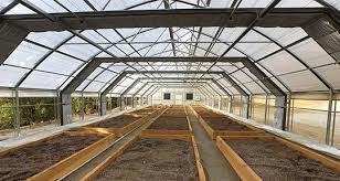 Automated Light Deprivation Systems for greenhouses