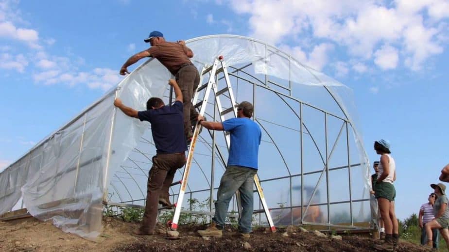 greenhouse plastic Installation and Maintenance