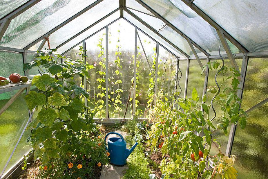 how set up greenhouse kit beginners
