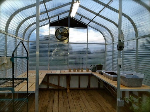 Does Your Greenhouse Need a Floor?