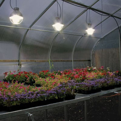 Fluorescent light greenhouse