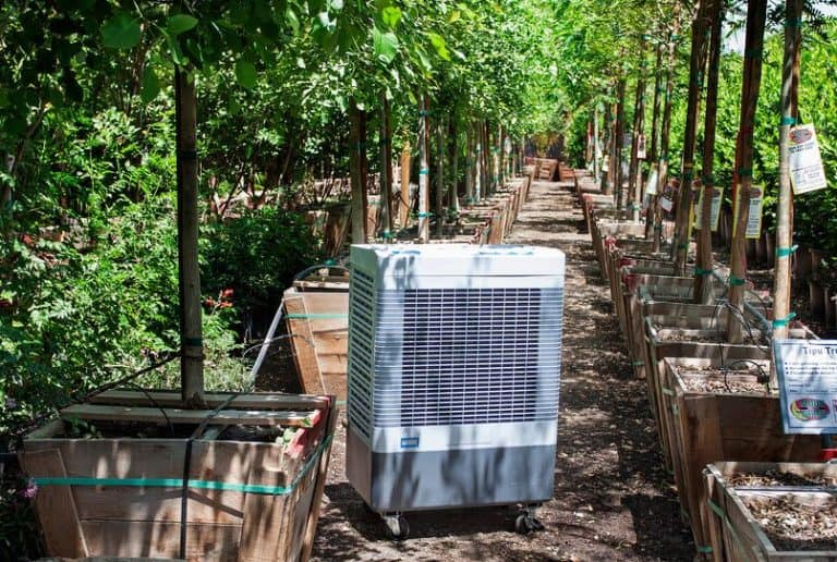Guide to Evaporative Coolers in Greenhouses Greenhouse Info