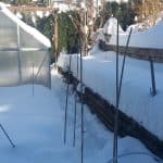Guide to the Best Greenhouse Crops for Winter