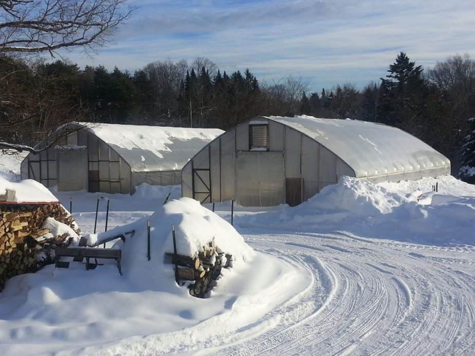 best Do You Know Other Winter Greenhouse Crops?