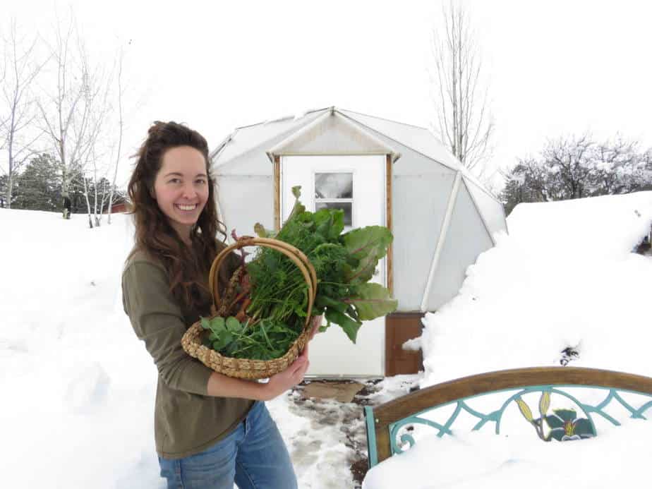 Best Greenhouse Crops for Winter