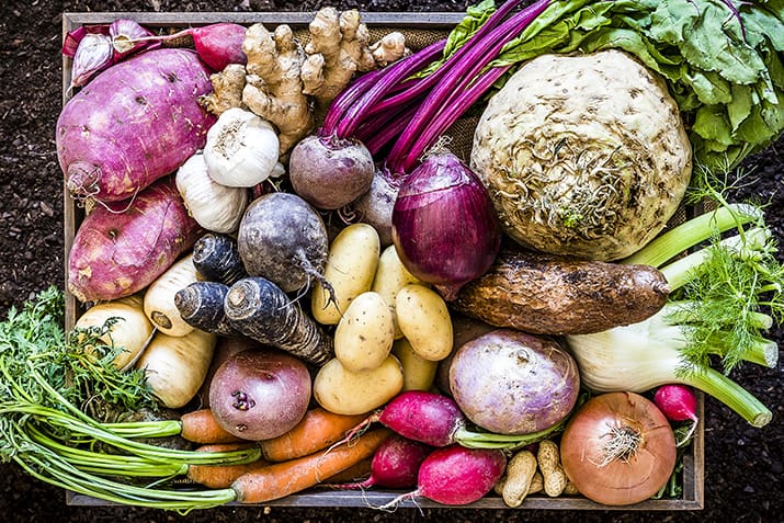 root vegetables for greenhouses winter