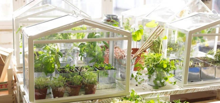 herb garden greenhouse winter