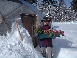 flower greenhouse winter