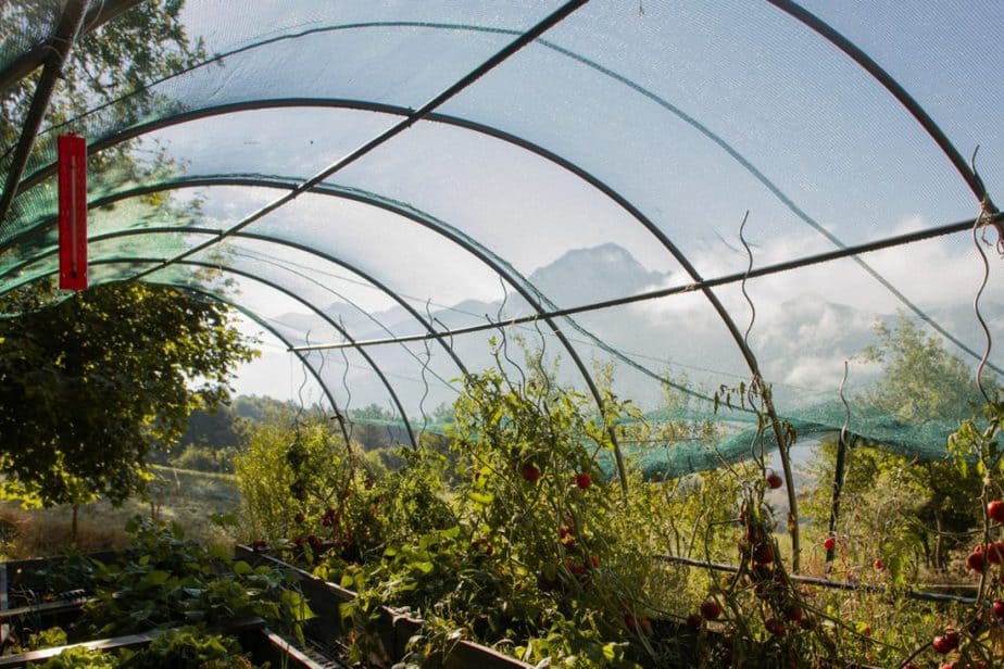 Books About Greenhouse Gardening