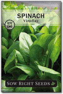 is spinach one of the Best Greenhouse Crops for Fall