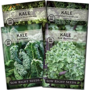 is kale one of the Best Greenhouse Crops for Fall