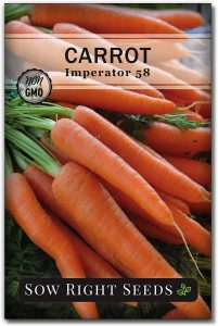 is carrots one of the Best Greenhouse Crops for Fall