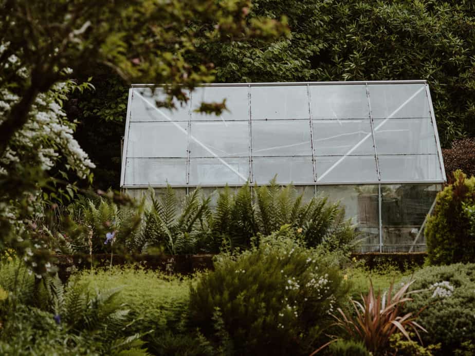 Read more about the article When to Replace Greenhouse Panels