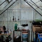 What’s Different About Growing in a Greenhouse?