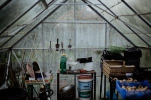 Read more about the article What’s Different About Growing in a Greenhouse?
