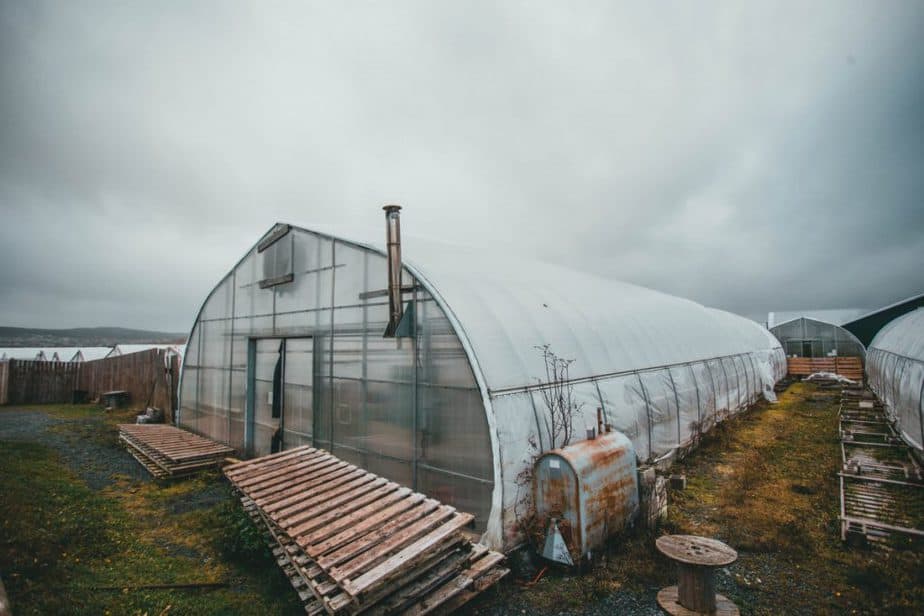 Greenhouse Dos and Don'ts