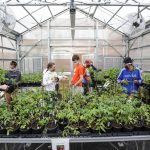 Top Courses on Greenhouse Growing