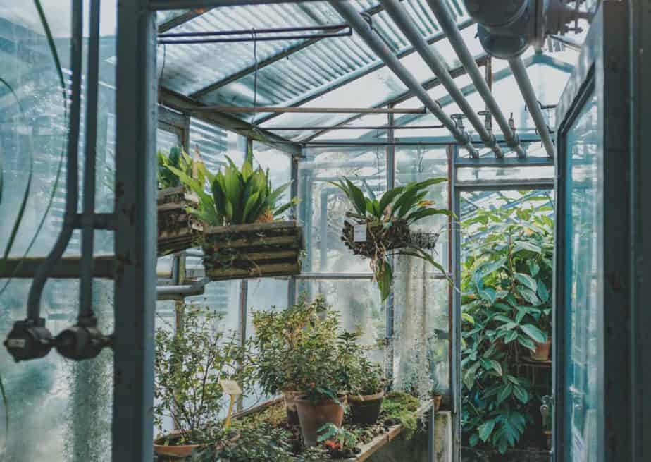 Best Greenhouse Gardening Classes online