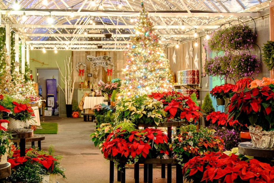 You are currently viewing The Best 5 Greenhouse Gift Ideas