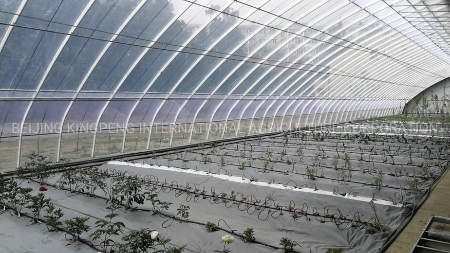 Read more about the article Which Landscape Fabric Is Best For My Greenhouse?