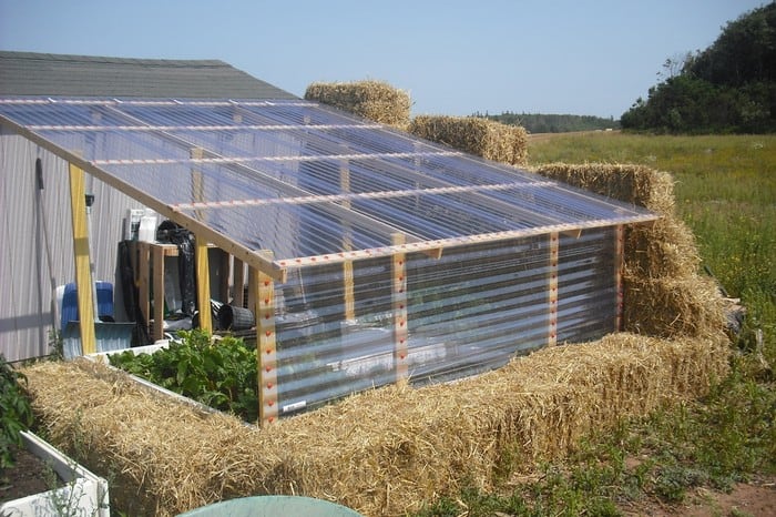 Tips for Building Your Own Greenhouse From Scratch 