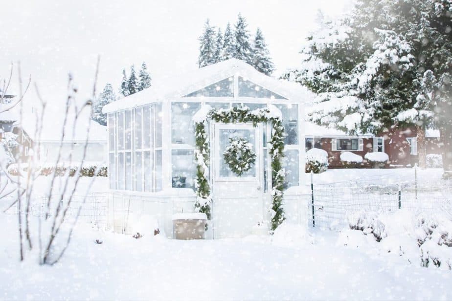 Best Greenhouse Gift Ideas for the holidays