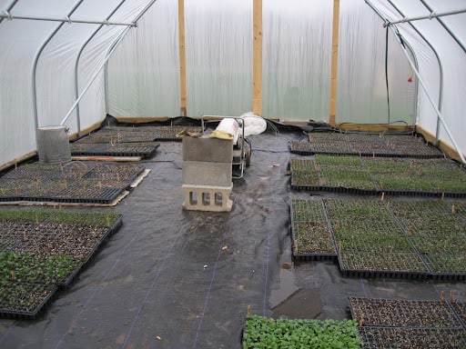 Why Greenhouse Ground Cover Fabric?