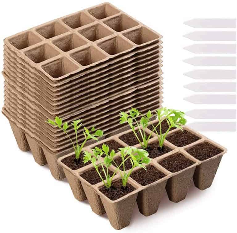 The Best Greenhouse Seed Trays - Greenhouse Info