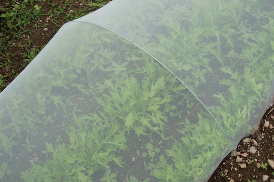 Insect Netting for Greenhouses Greenhouse Info